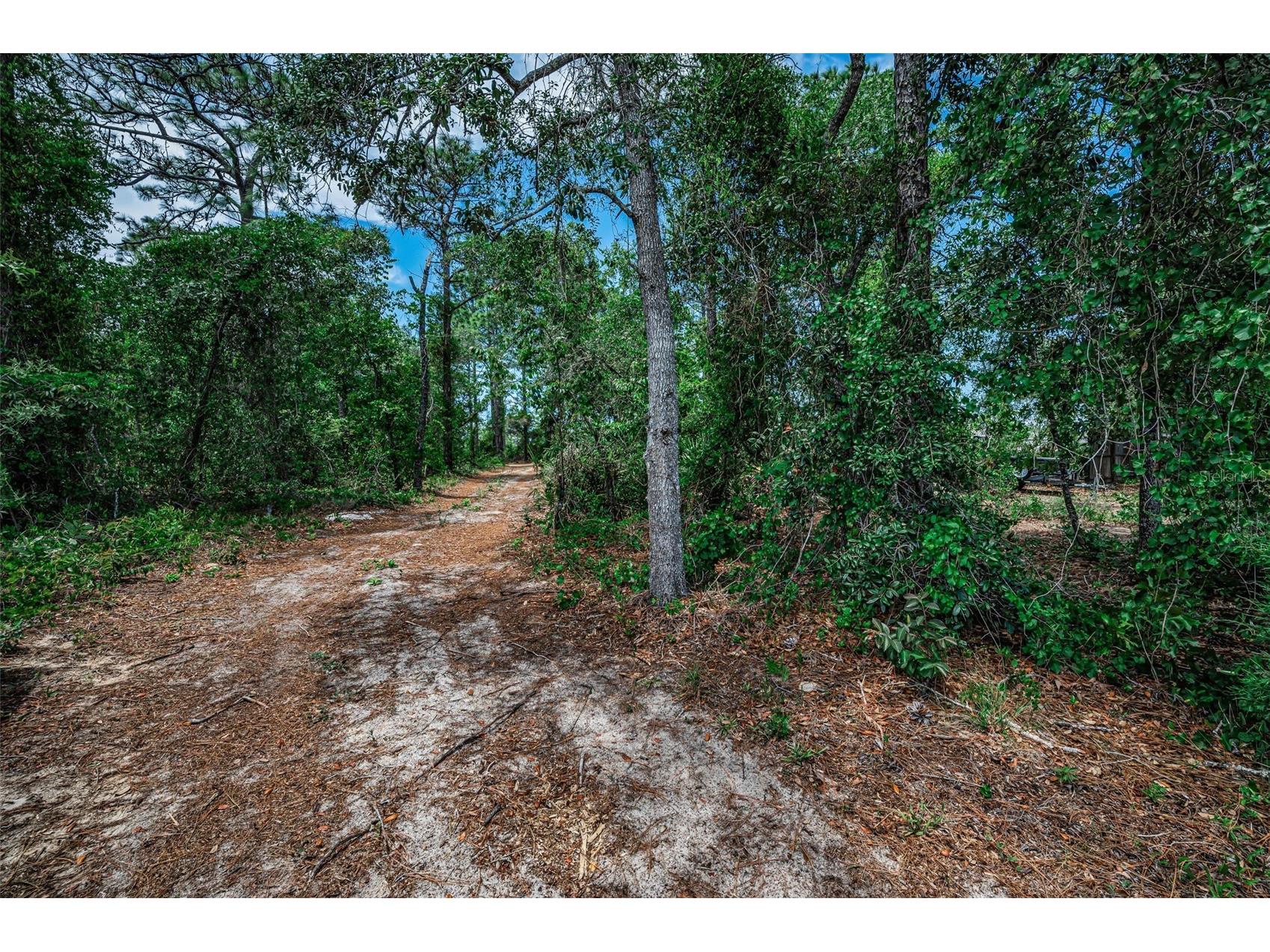 12123 Fulmar Road Weeki Wachee FL 34614 TB8503828 image72