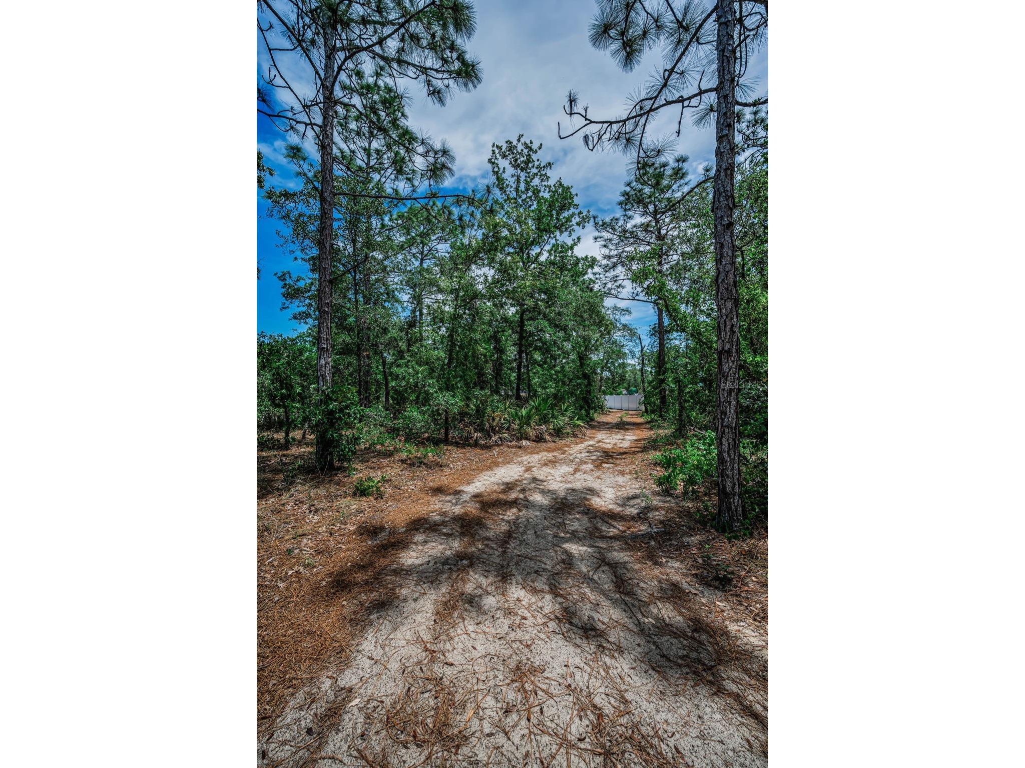 12123 Fulmar Road Weeki Wachee FL 34614 TB8503828 image73