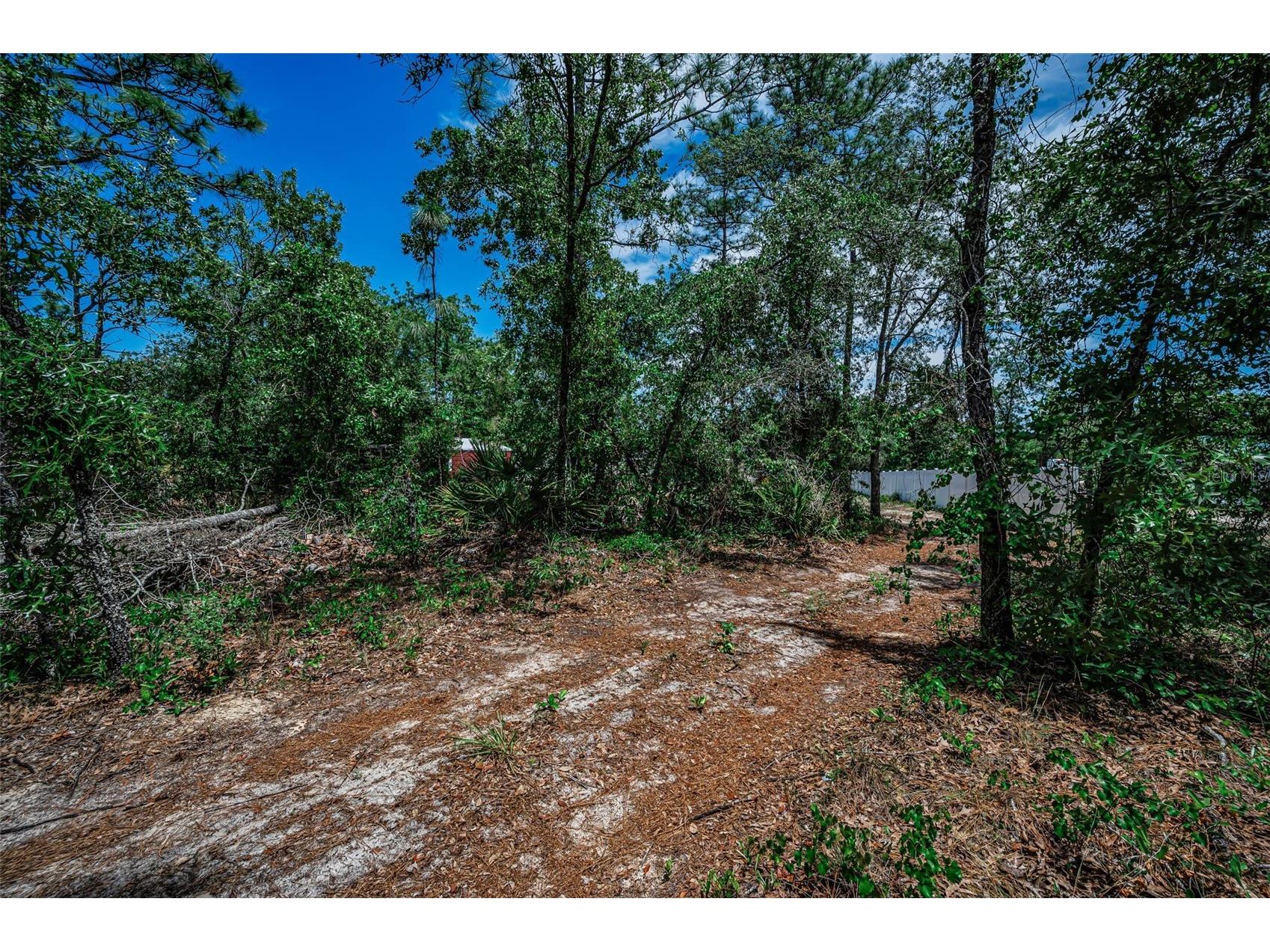 12123 Fulmar Road Weeki Wachee FL 34614 TB8503828 image74