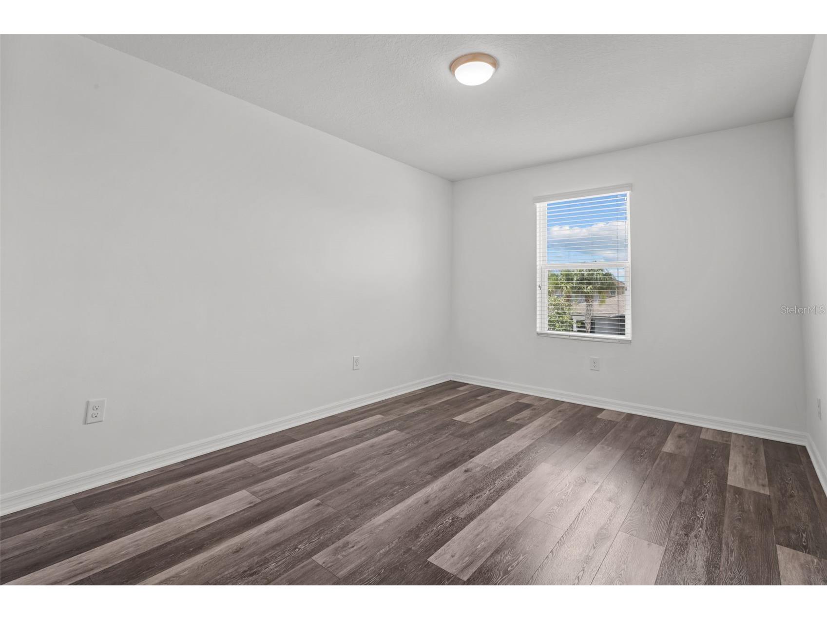 12124 Lake Boulevard Trinity FL 34655 TB8490724 image28