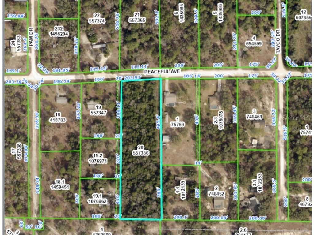 12124 Peaceful Avenue Weeki Wachee FL 34614 W7849810 image1