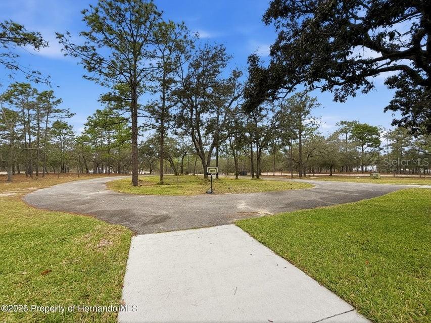 12124 Squeeze Avenue Brooksville FL 34614 W7883632 image6