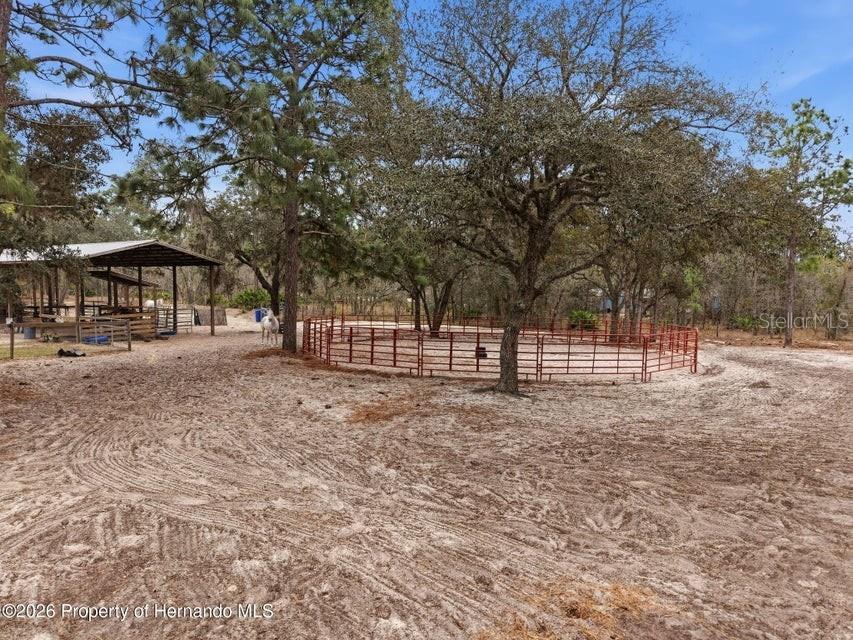 12124 Squeeze Avenue Brooksville FL 34614 W7883632 image62
