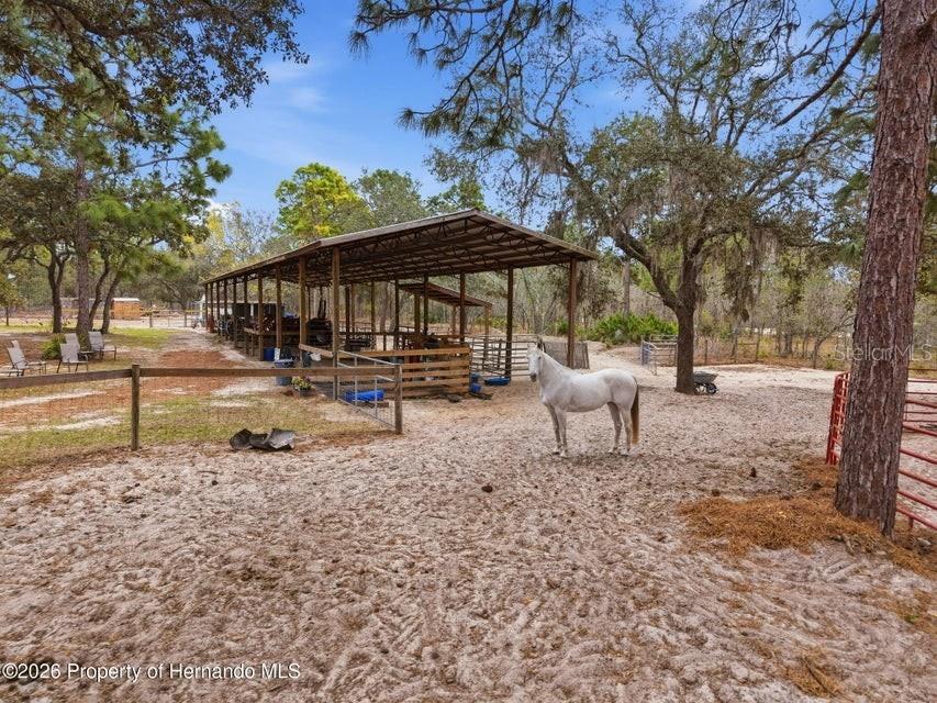12124 Squeeze Avenue Brooksville FL 34614 W7883632 image63