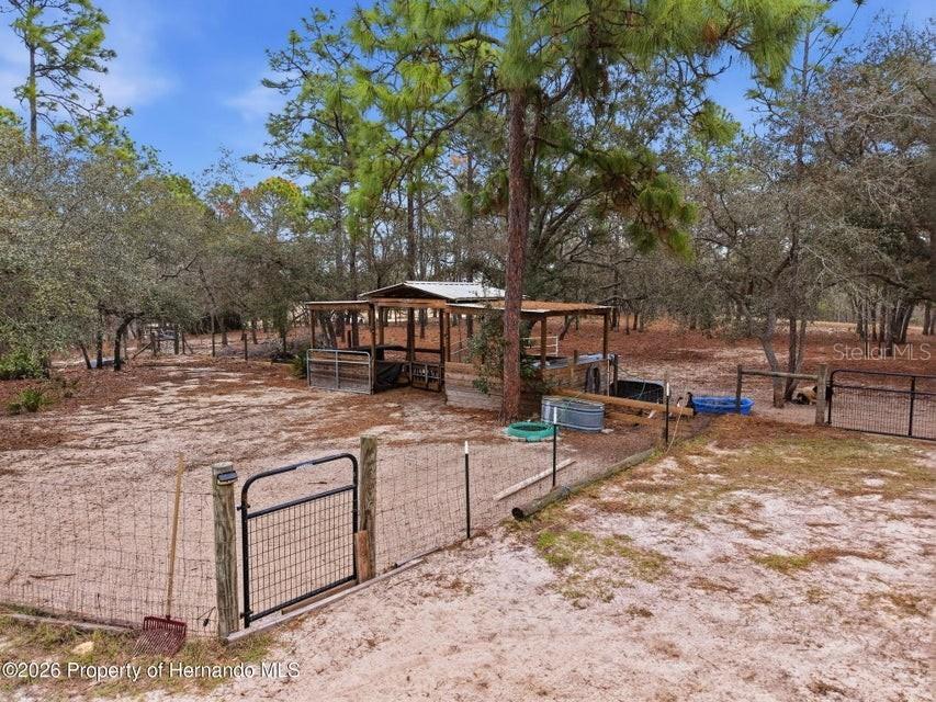 12124 Squeeze Avenue Brooksville FL 34614 W7883632 image68