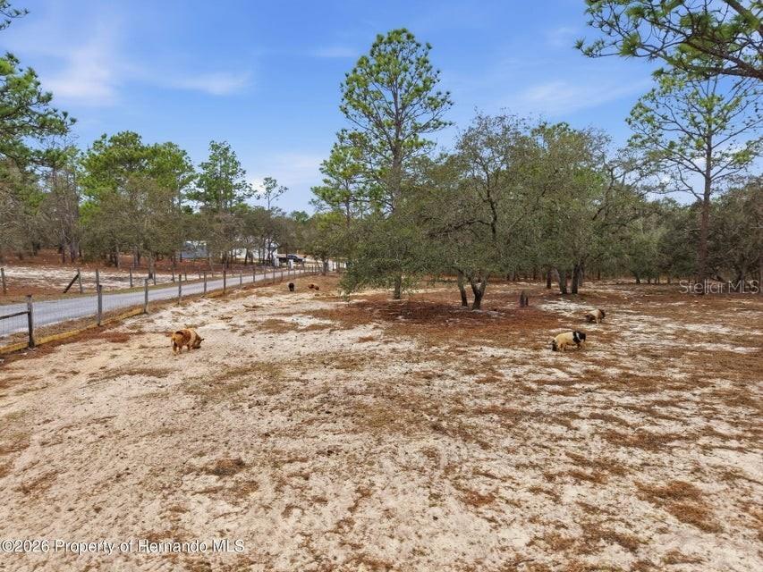 12124 Squeeze Avenue Brooksville FL 34614 W7883632 image70