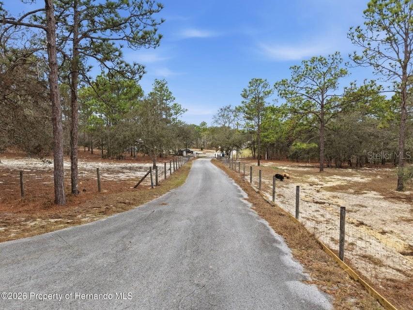 12124 Squeeze Avenue Brooksville FL 34614 W7883632 image71