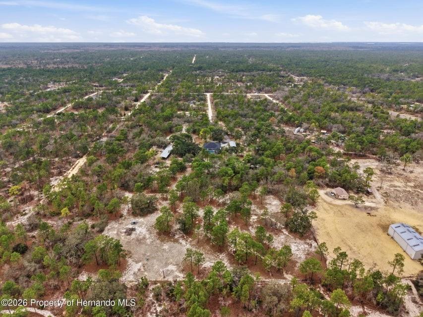 12124 Squeeze Avenue Brooksville FL 34614 W7883632 image80