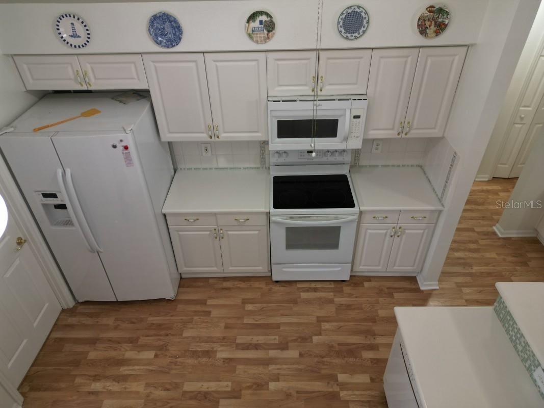 12125 Knotty Pine Loop San Antonio FL 33576 TB8509654 image11