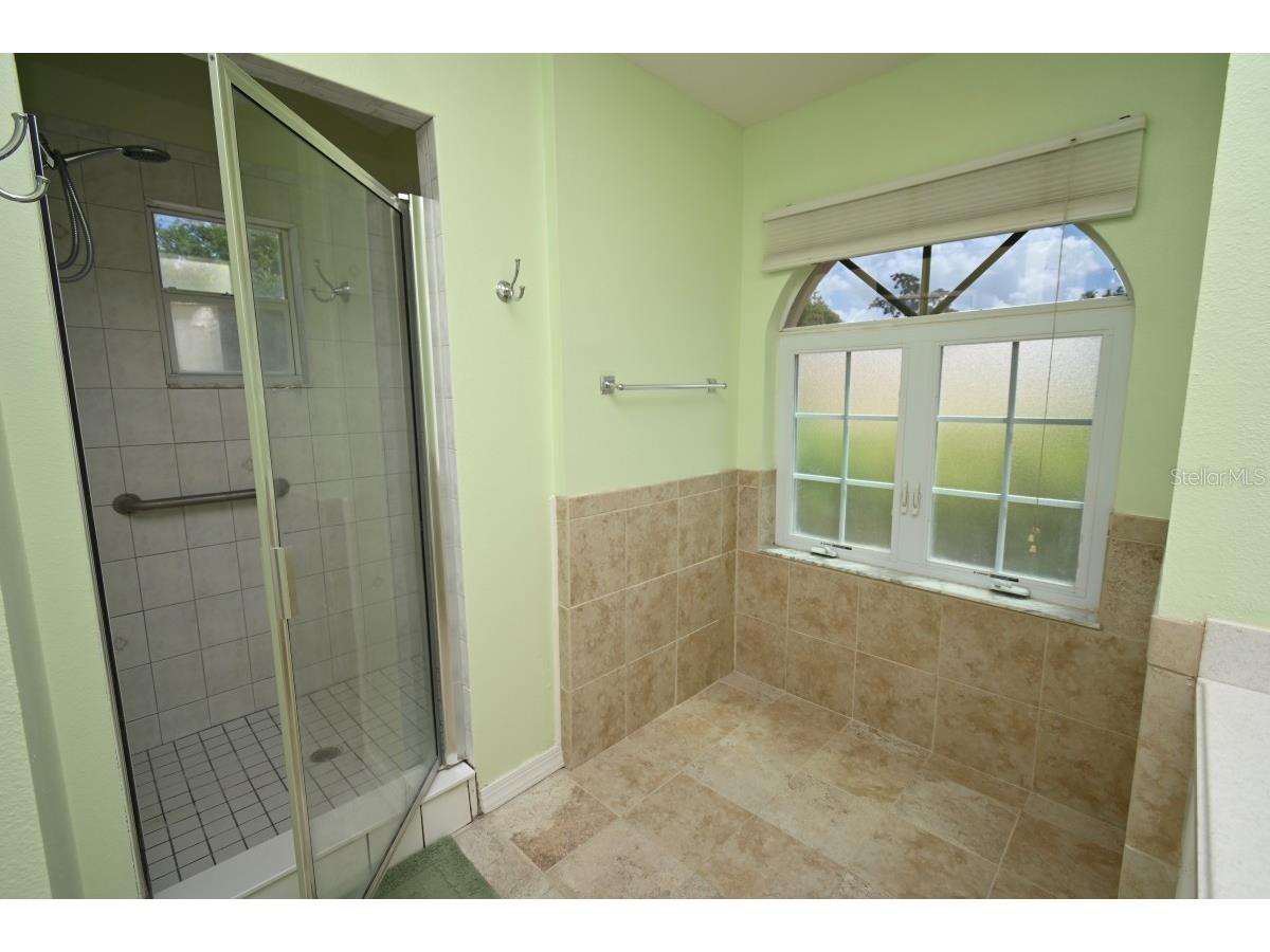 12125 Knotty Pine Loop San Antonio FL 33576 TB8509654 image20