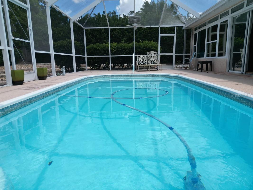 12125 Knotty Pine Loop San Antonio FL 33576 TB8509654 image33