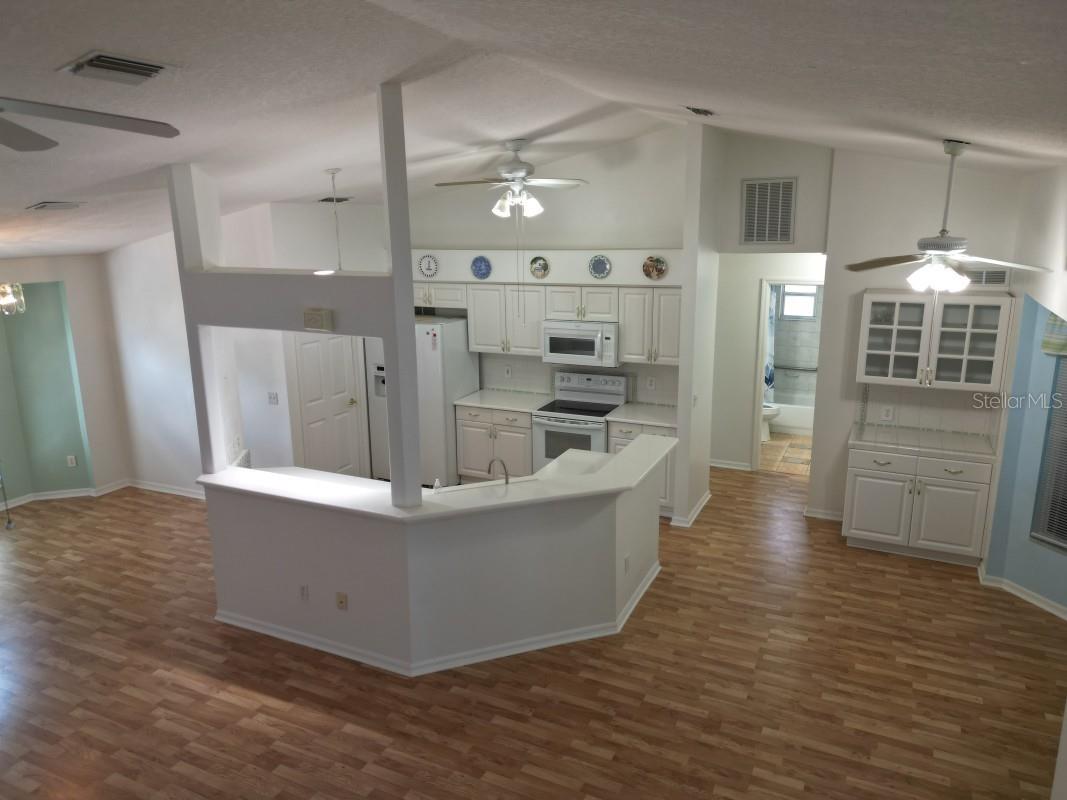 12125 Knotty Pine Loop San Antonio FL 33576 TB8509654 image9