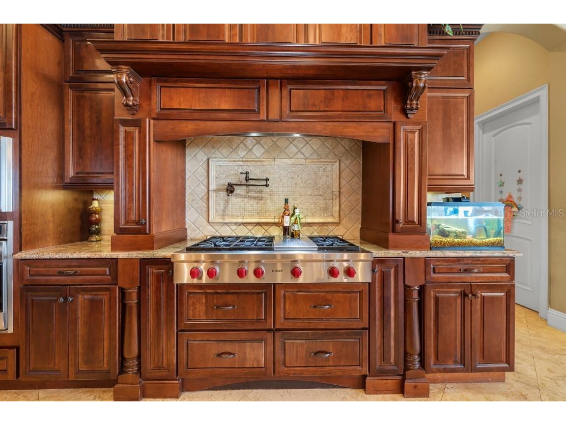 12125 Stonelake Ranch Boulevard Thonotosassa FL 33592 - LAKE THONOTOSASSA TB8401762 image15