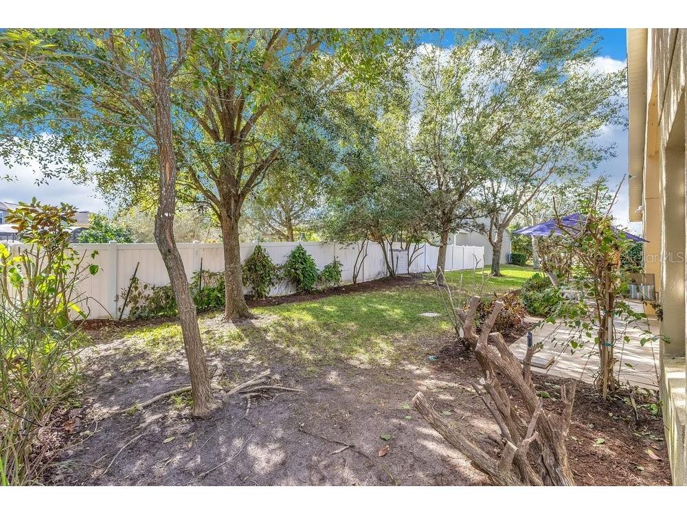 12126 Citruswood Drive Orlando FL 32832 O6376949 image24