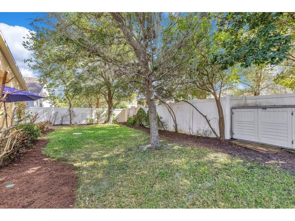 12126 Citruswood Drive Orlando FL 32832 O6376949 image27