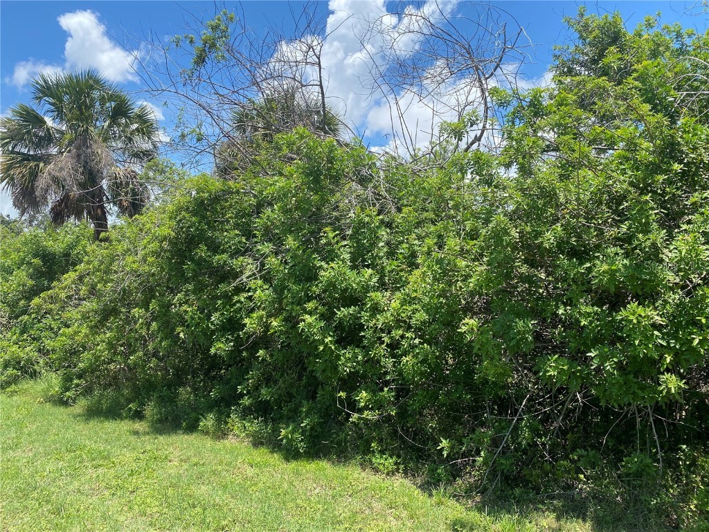 12126 Munn Avenue Port Charlotte FL 33953 A4572260 image1