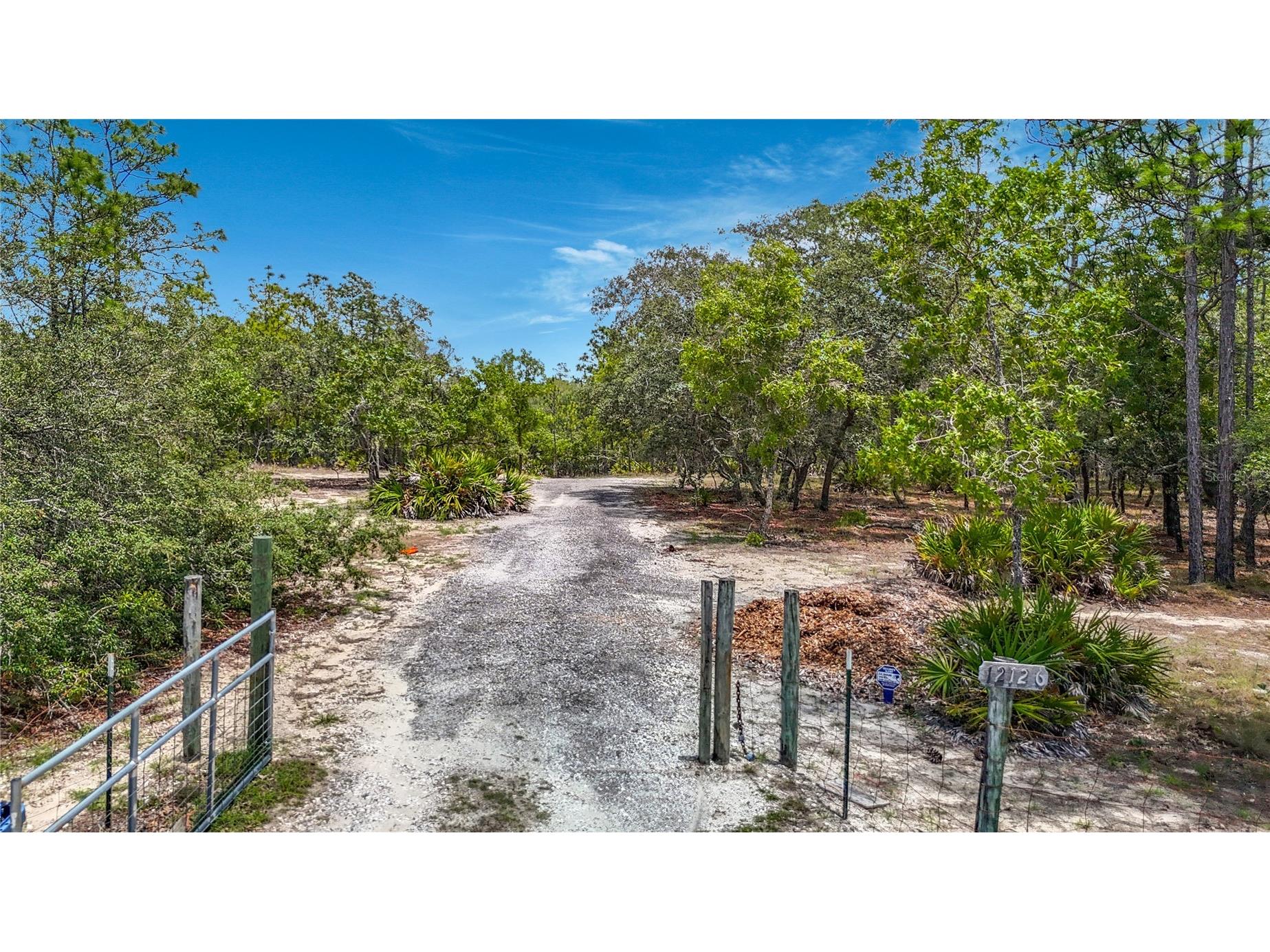 12126 Skimmer Avenue Weeki Wachee FL 34614 W7886283 image2