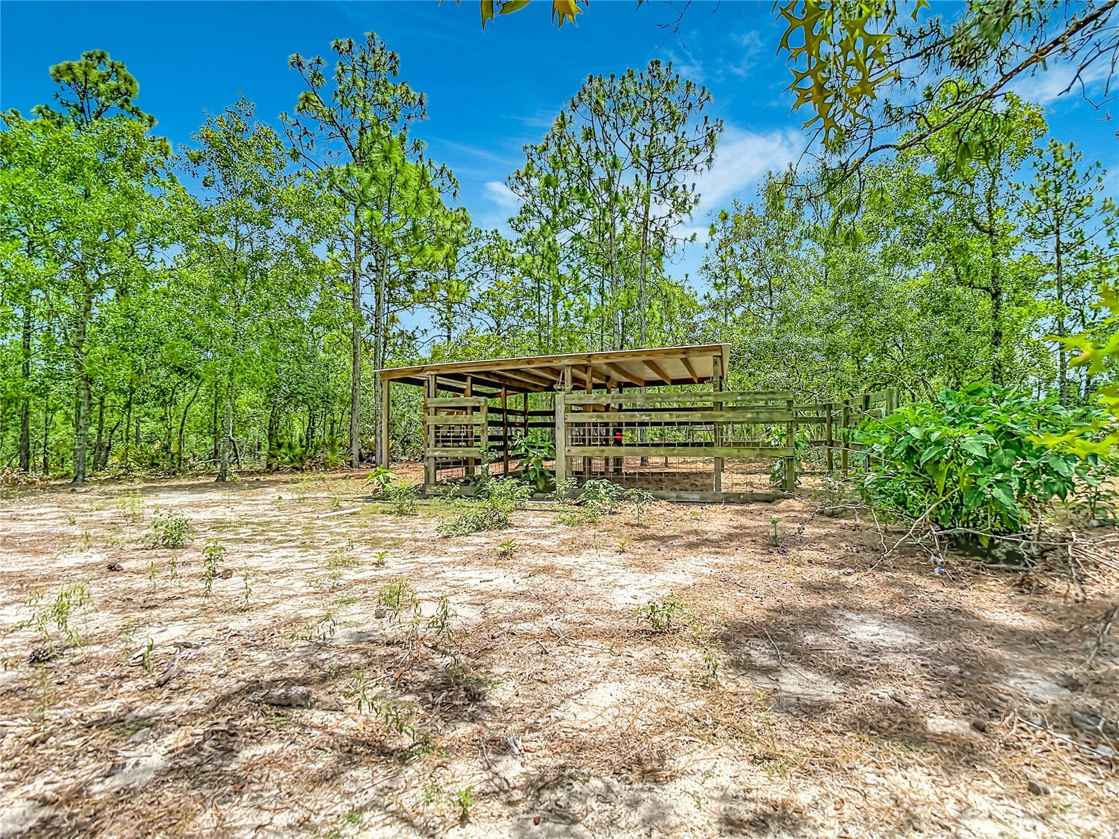 12126 Skimmer Avenue Weeki Wachee FL 34614 W7886283 image48