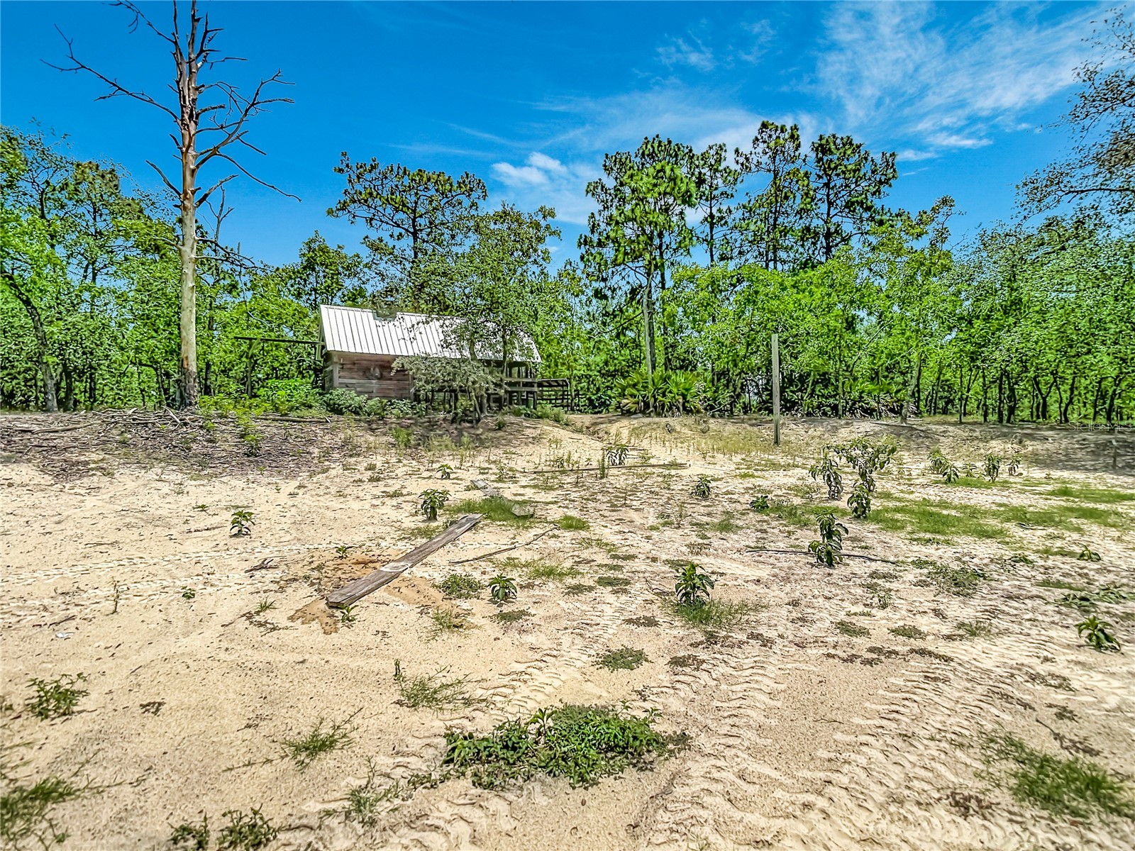 12126 Skimmer Avenue Weeki Wachee FL 34614 W7886283 image50