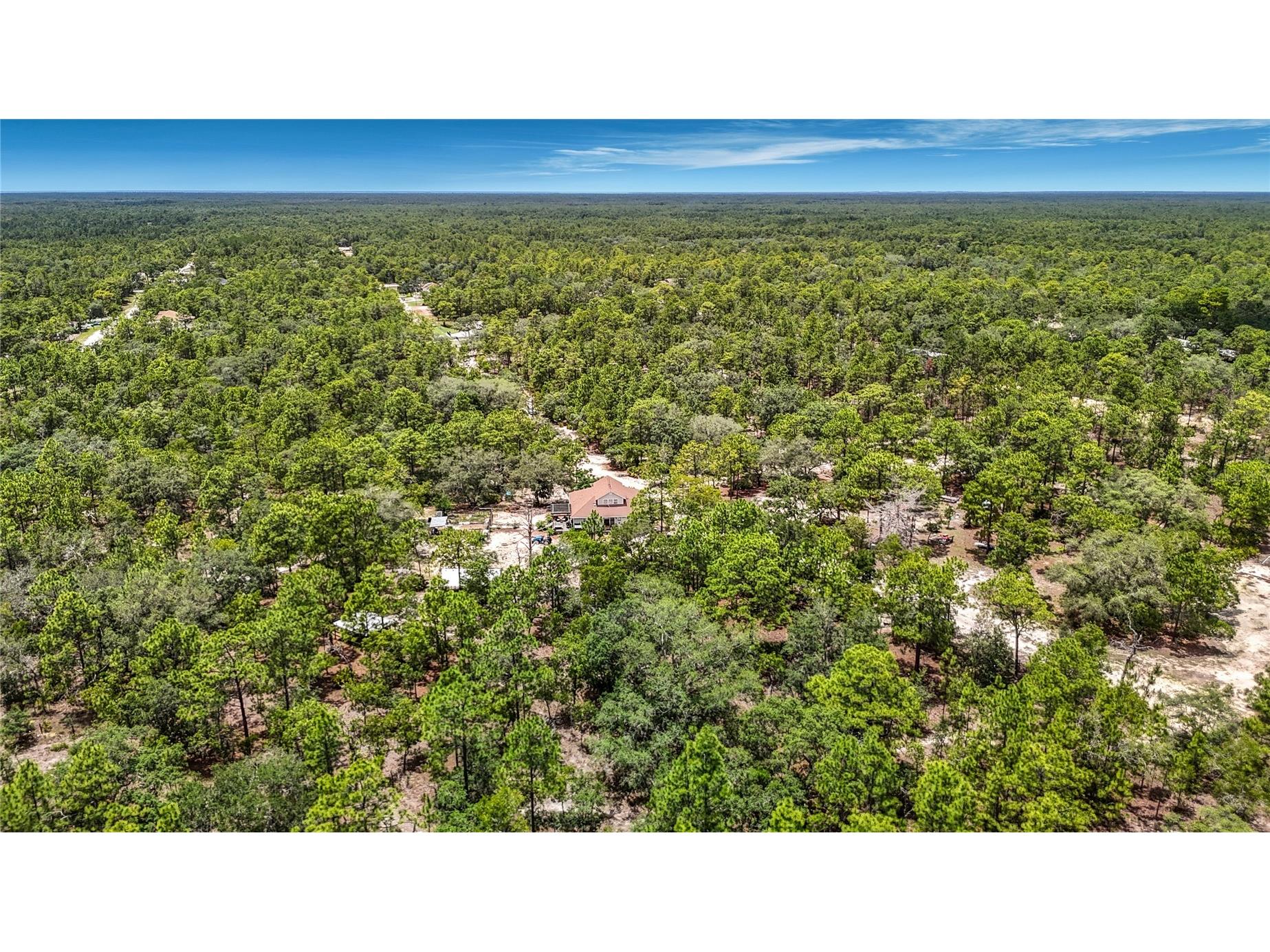 12126 Skimmer Avenue Weeki Wachee FL 34614 W7886283 image59