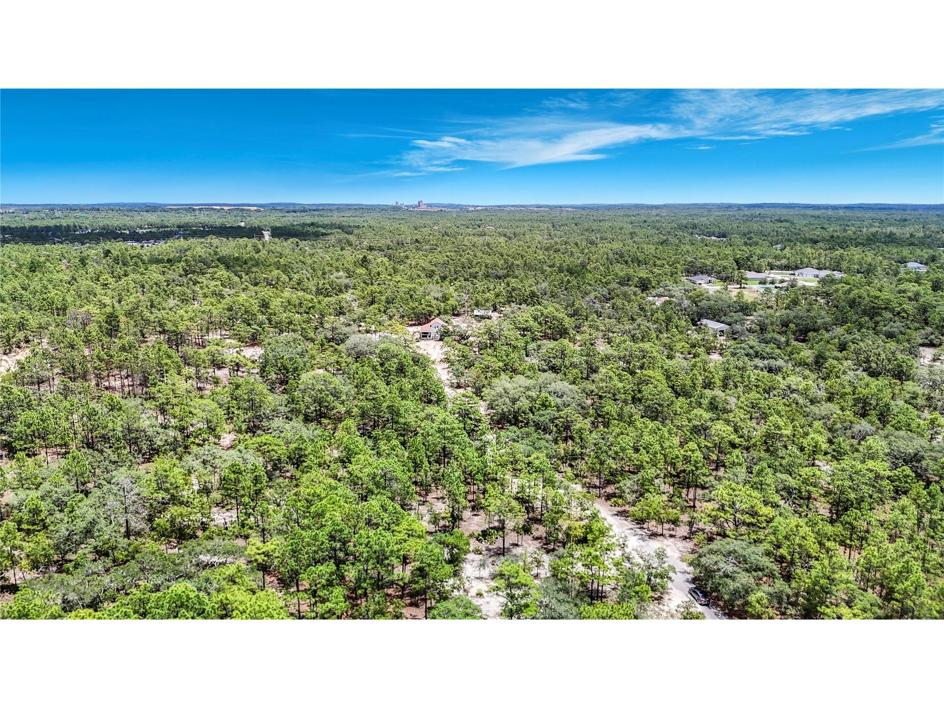 12126 Skimmer Avenue Weeki Wachee FL 34614 W7886283 image65