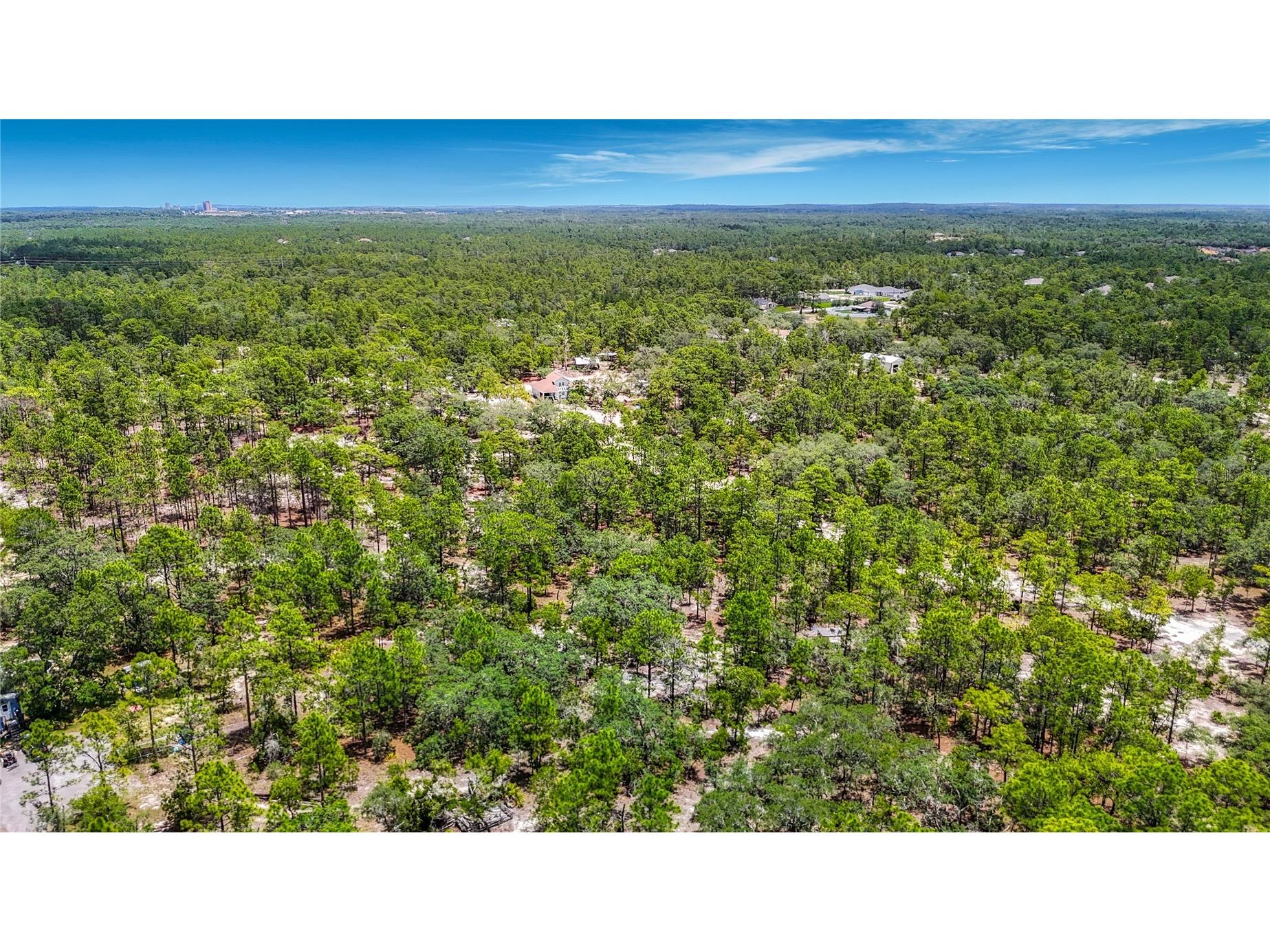 12126 Skimmer Avenue Weeki Wachee FL 34614 W7886283 image66