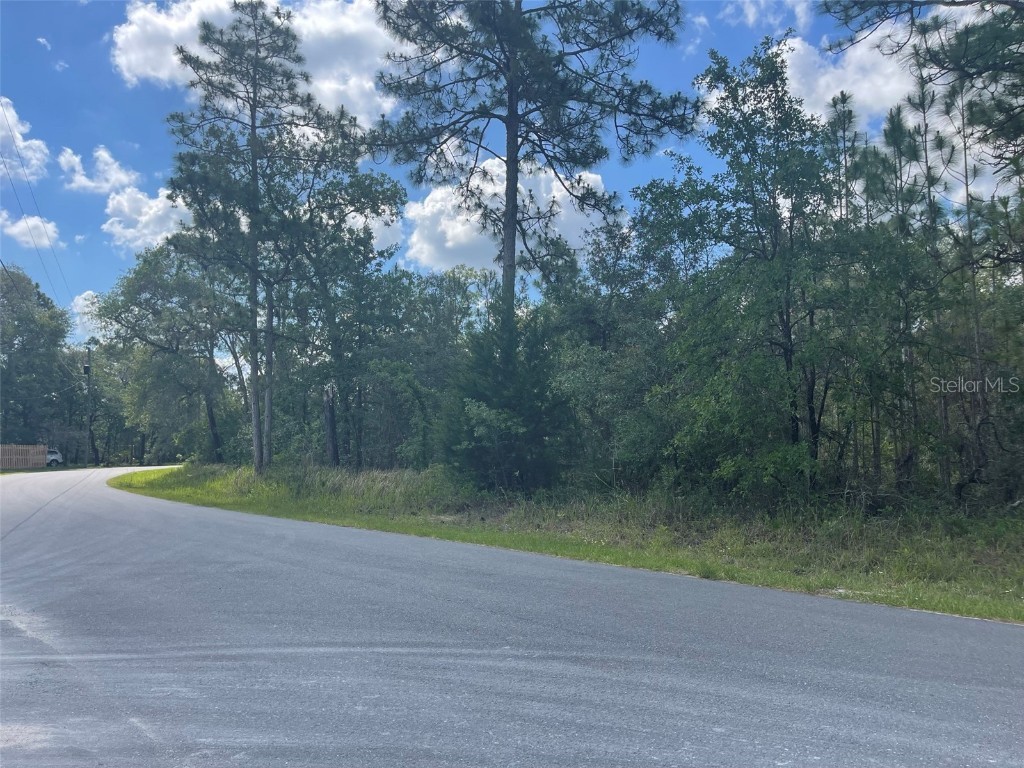 12128 Petrel Avenue Weeki Wachee FL 34614 A4571108 image1