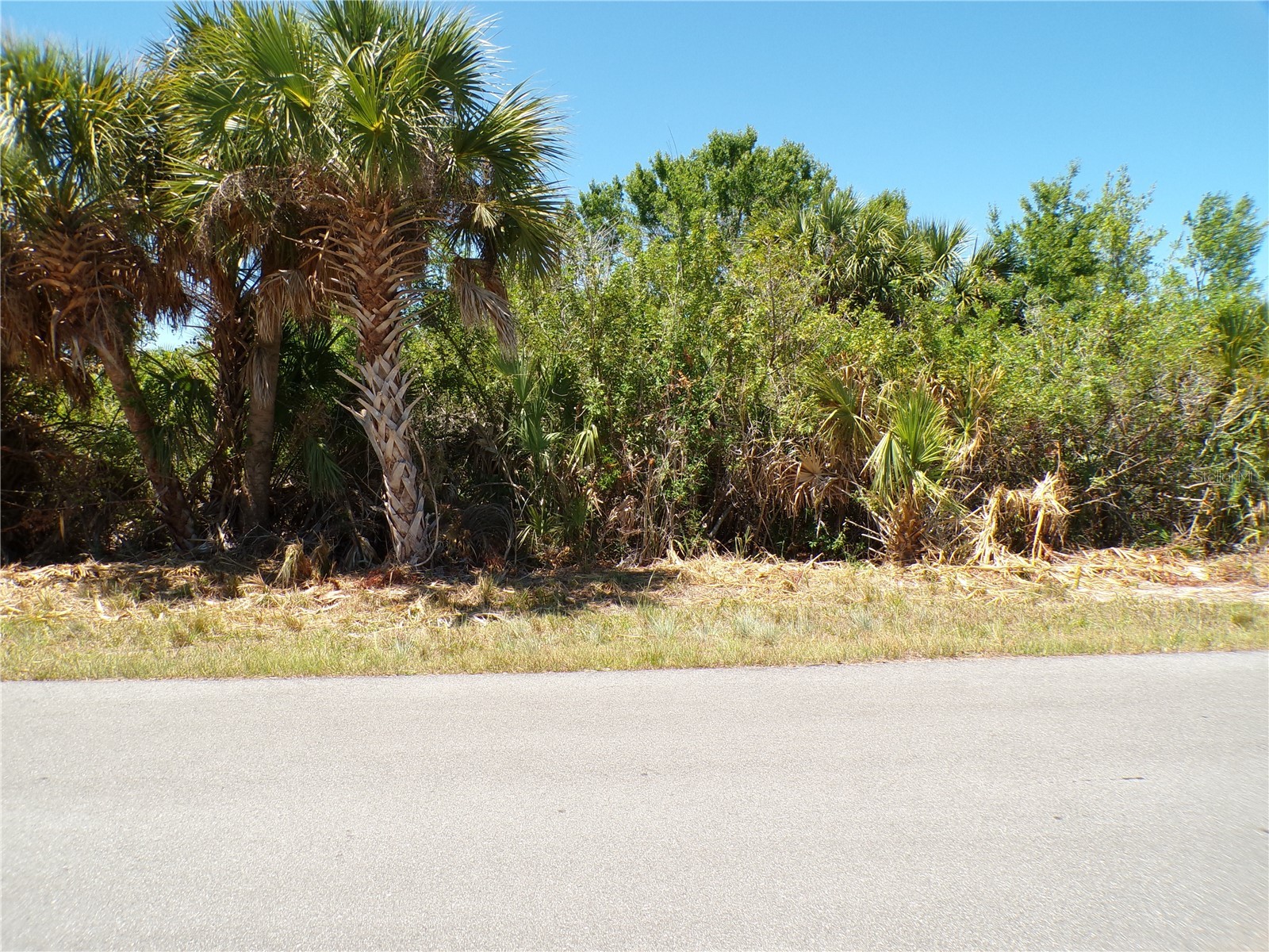 12128 Van Gough Avenue Port Charlotte FL 33981 C7525964 image1