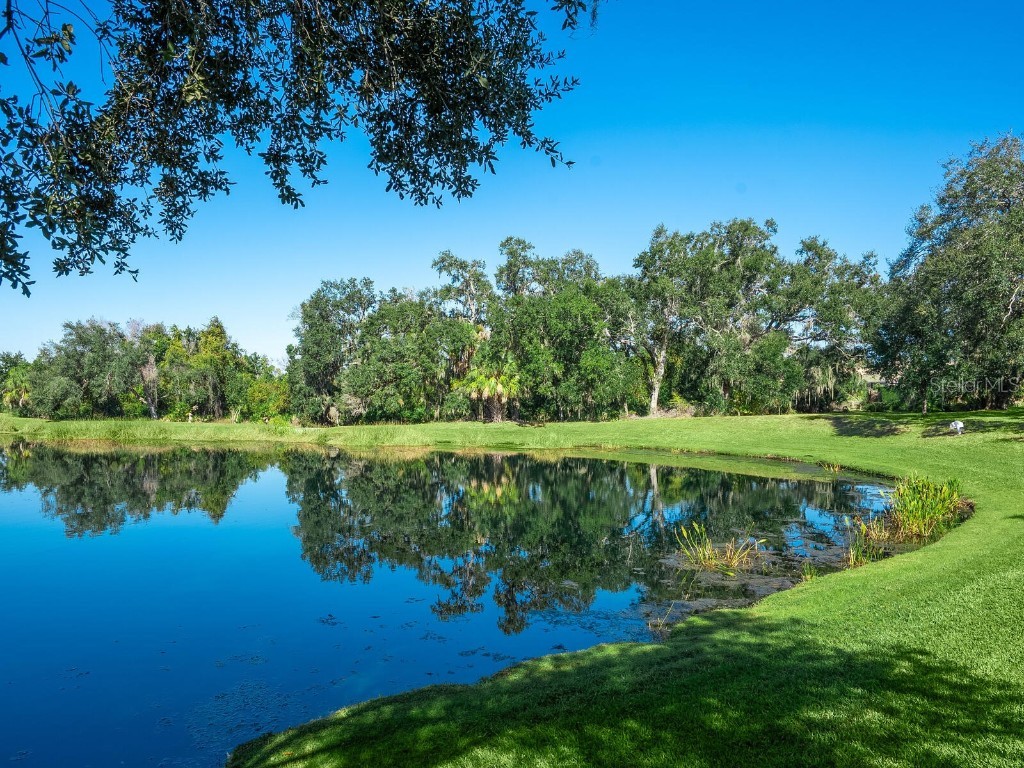 12129 Thornhill Court Lakewood Ranch FL 34202 A4672799 image45