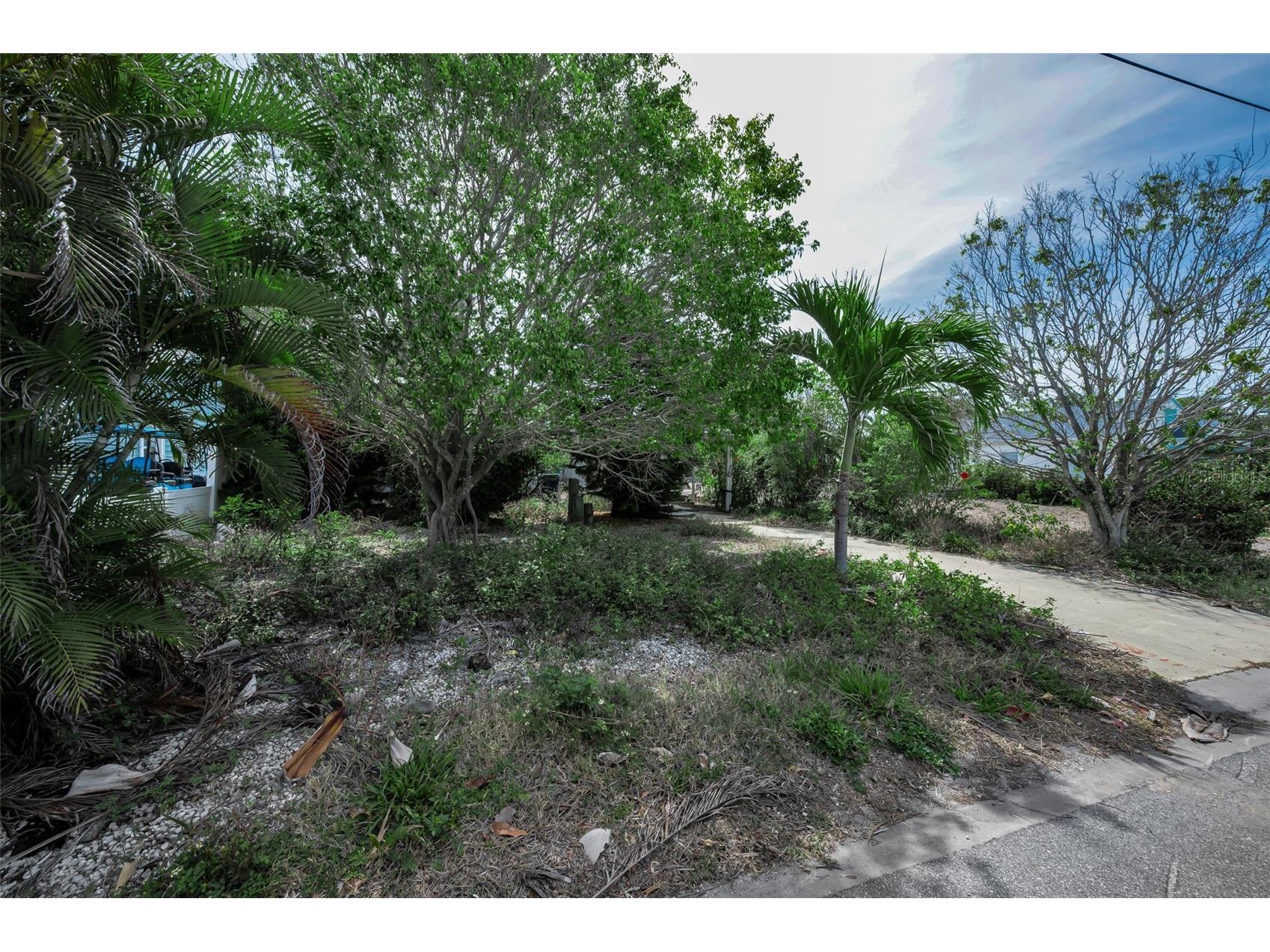 1213 Bay Palm Boulevard Indian Rocks Beach FL 33785 TB8507126 image15