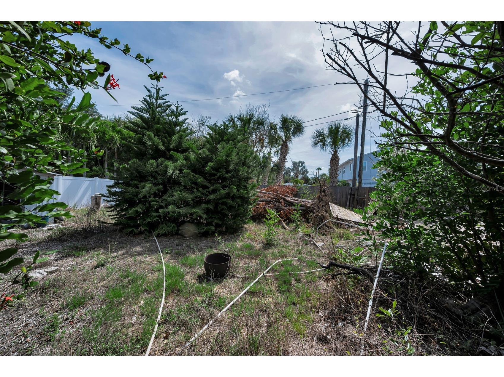 1213 Bay Palm Boulevard Indian Rocks Beach FL 33785 TB8507126 image17