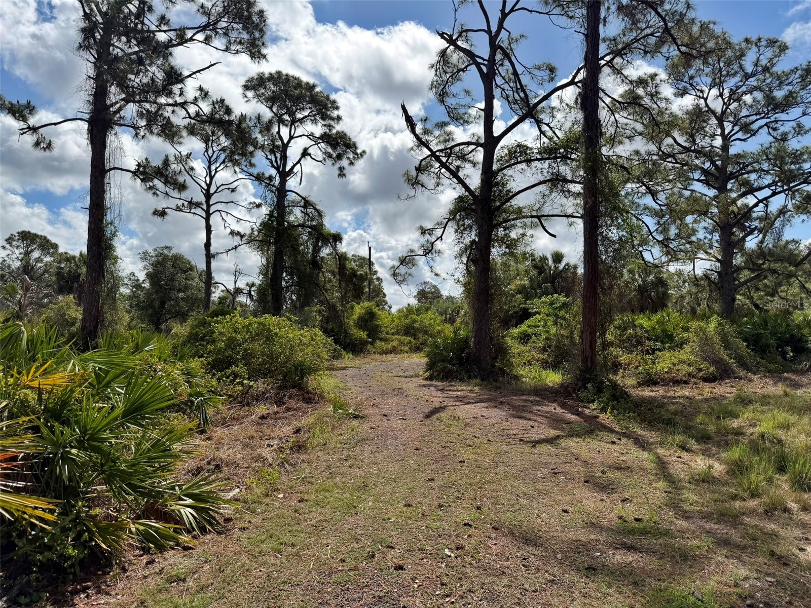 1213 Casper Street Port Charlotte FL 33953 D6147566 image67