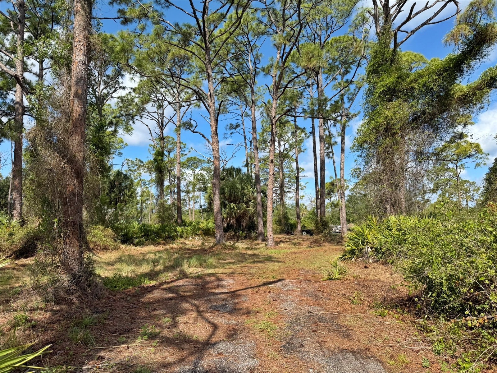 1213 Casper Street Port Charlotte FL 33953 D6147566 image70