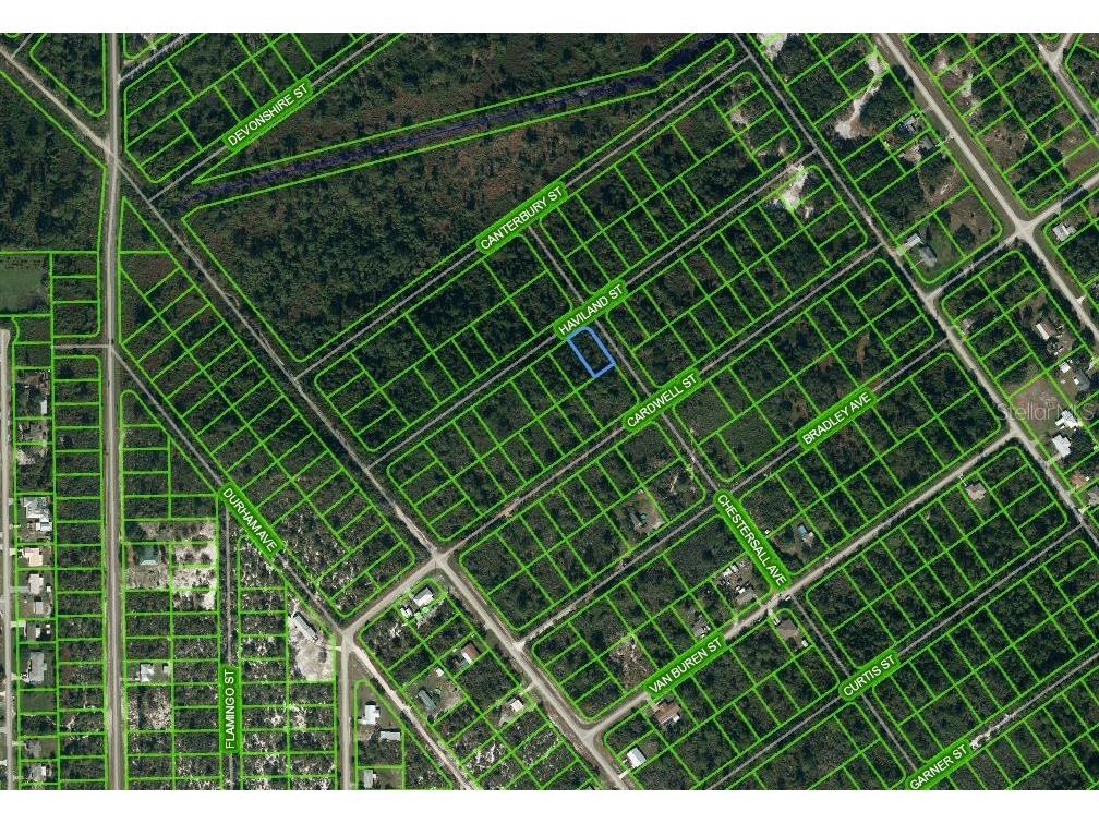 1213 Chestersall Avenue Lake Placid FL 33852 OM625657 image1