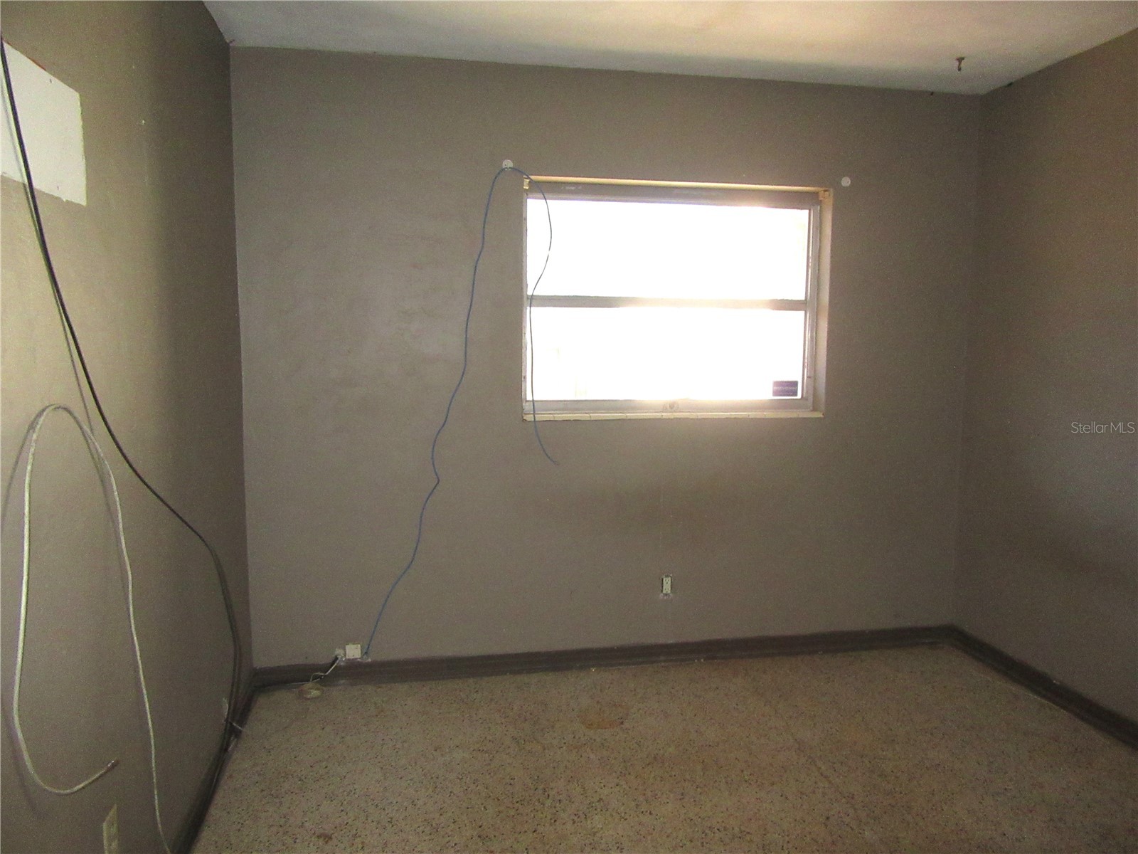 1213 Cuttingin Place Tampa FL 33612 TB8487376 image19