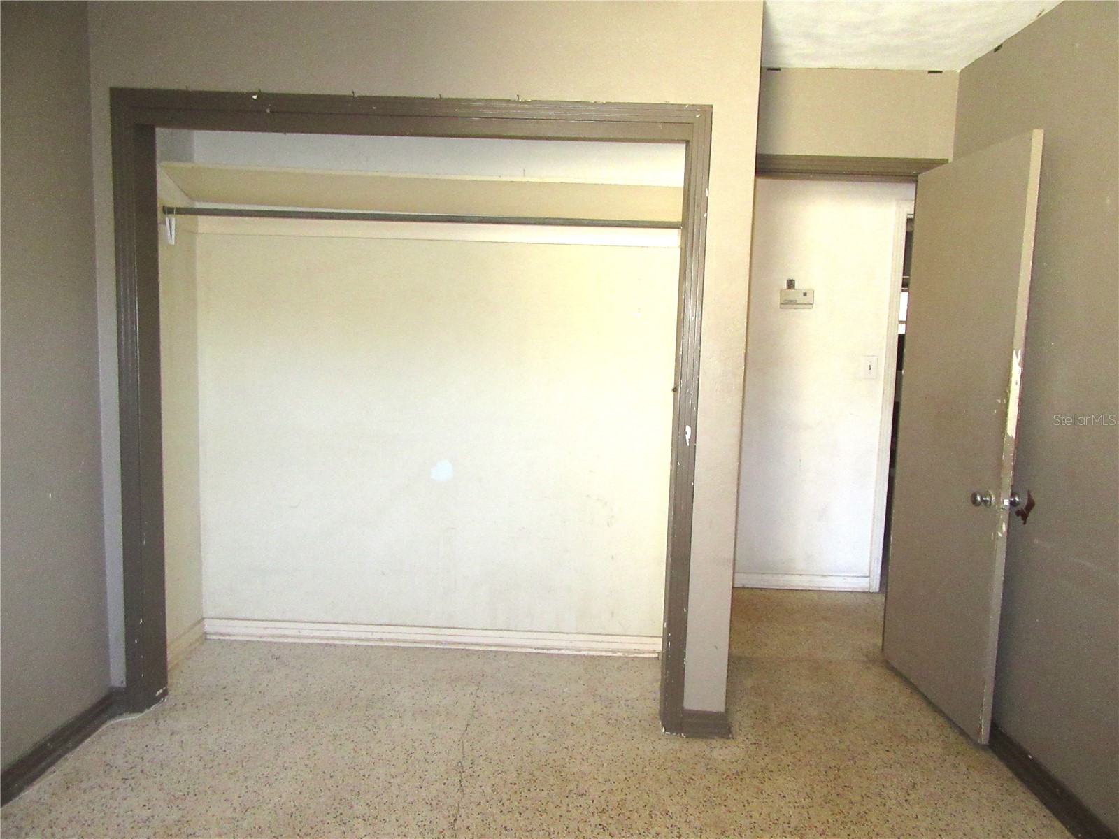 1213 Cuttingin Place Tampa FL 33612 TB8487376 image20