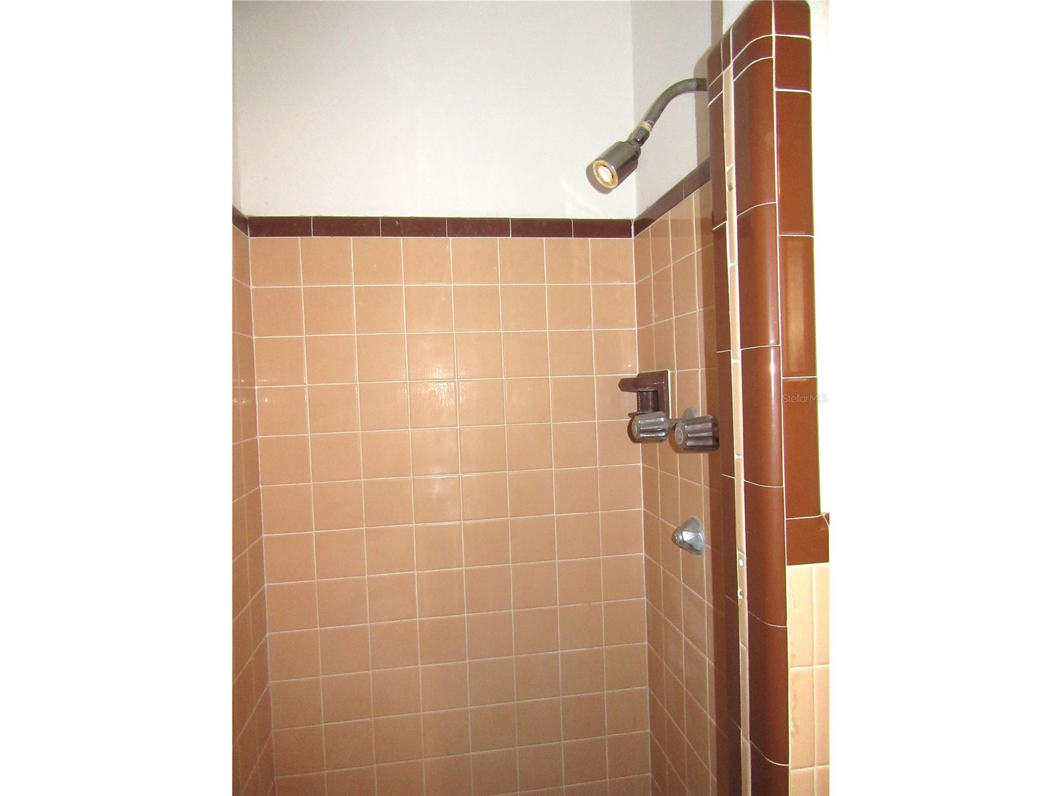 1213 Cuttingin Place Tampa FL 33612 TB8487376 image32