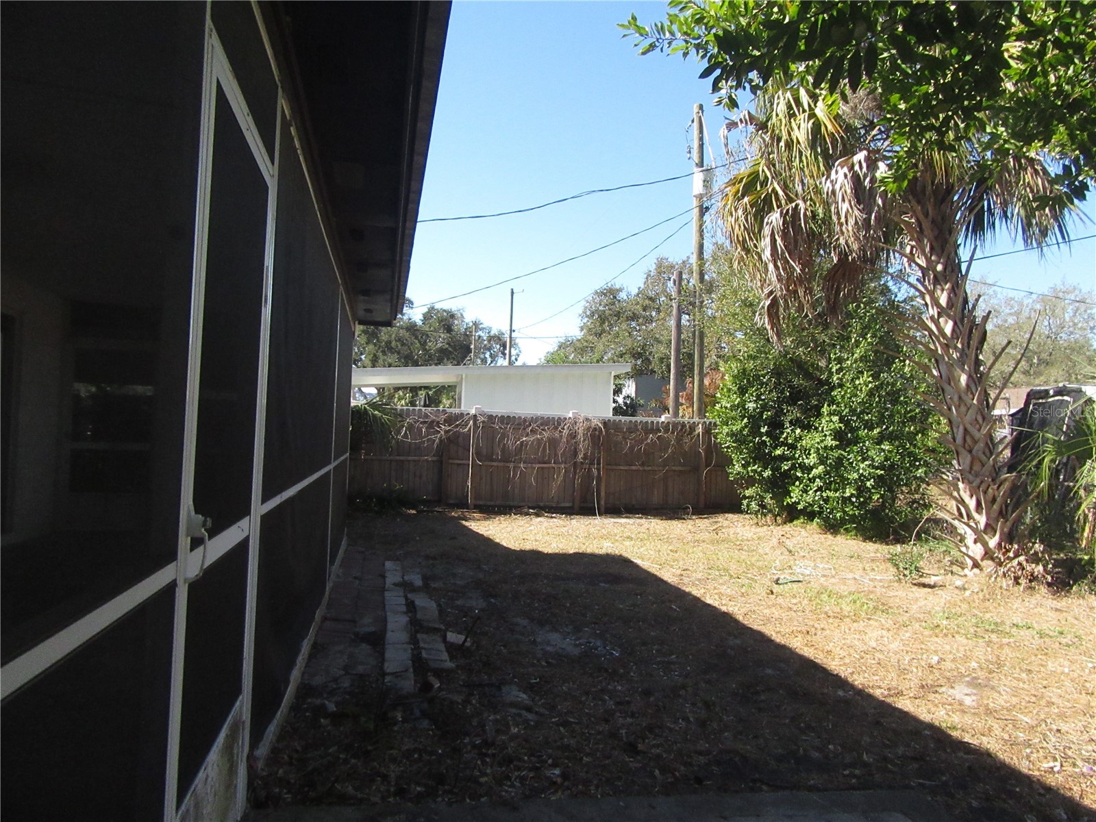 1213 Cuttingin Place Tampa FL 33612 TB8487376 image6