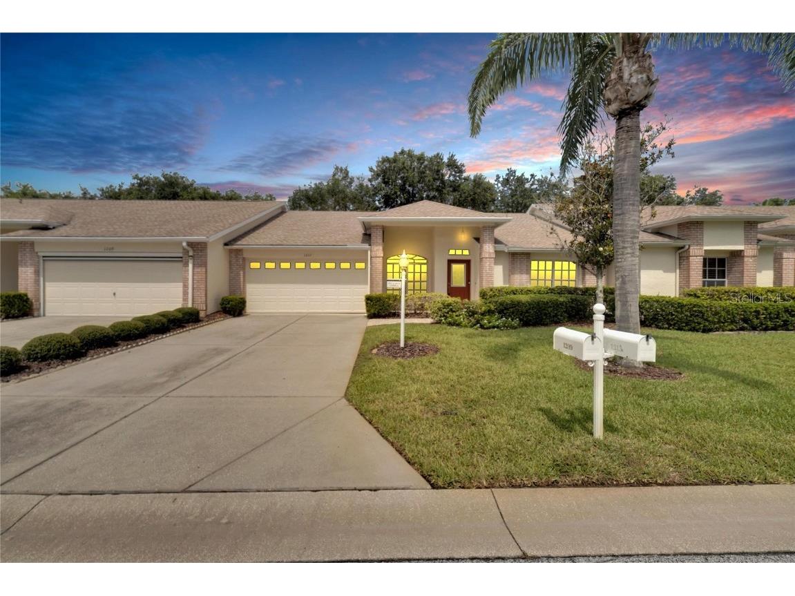 1213 Flora Vista Street #1213 Trinity FL 34655 T3544990 image1