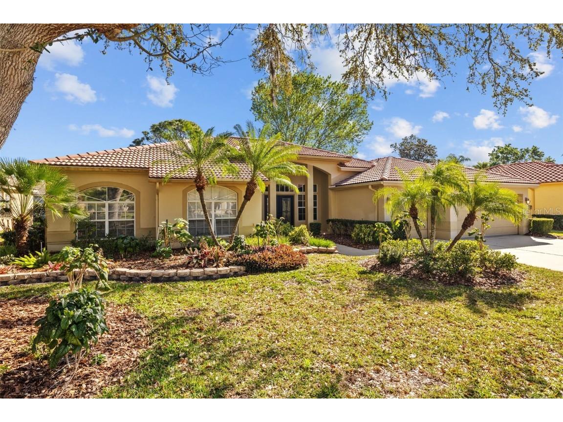 1213 Halifax Court Tarpon Springs FL 34688 TB8351802 image1