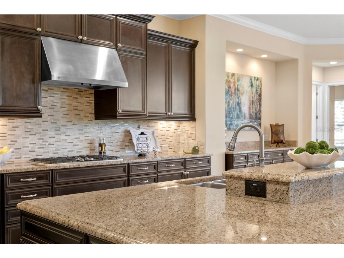 1213 Merry Water Drive Lutz FL 33548 TB8417071 image14