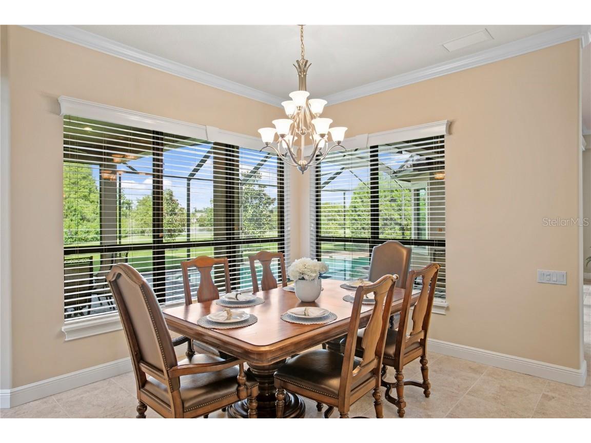 1213 Merry Water Drive Lutz FL 33548 TB8417071 image16