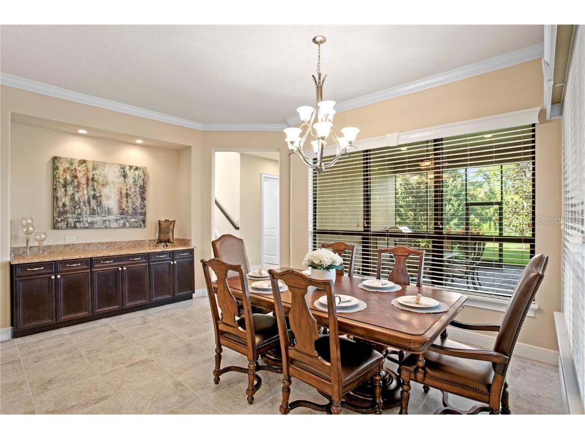 1213 Merry Water Drive Lutz FL 33548 TB8417071 image17