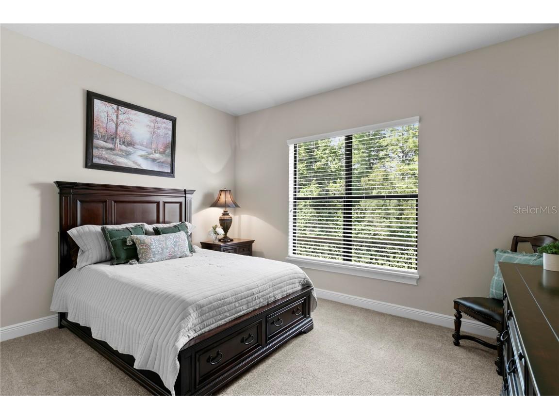 1213 Merry Water Drive Lutz FL 33548 TB8417071 image21