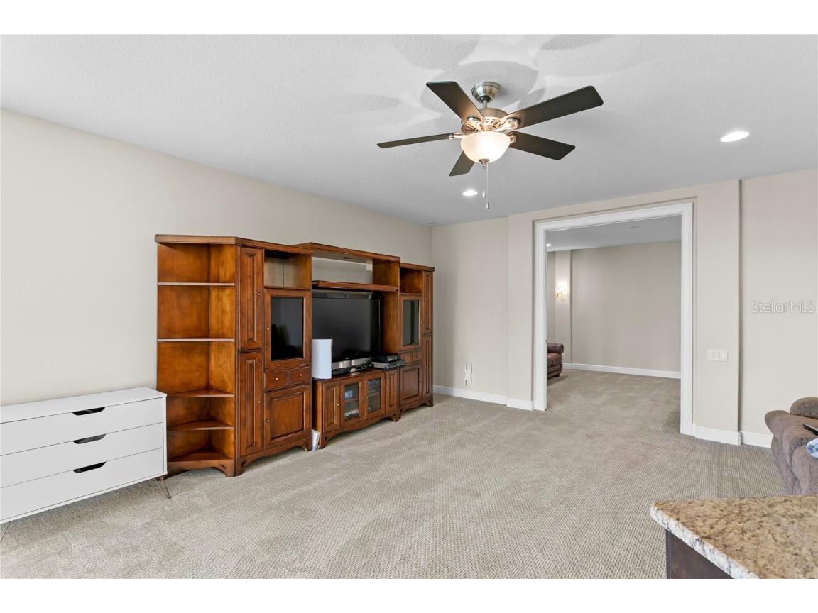 1213 Merry Water Drive Lutz FL 33548 TB8417071 image26