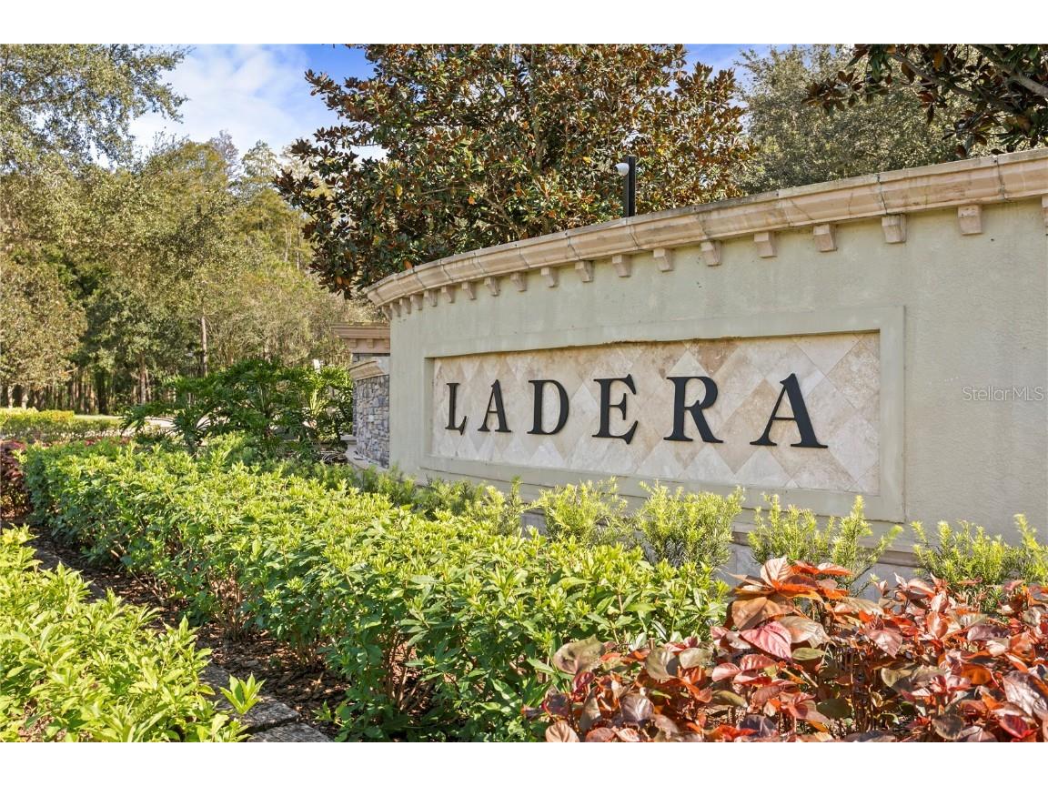 1213 Merry Water Drive Lutz FL 33548 TB8417071 image36