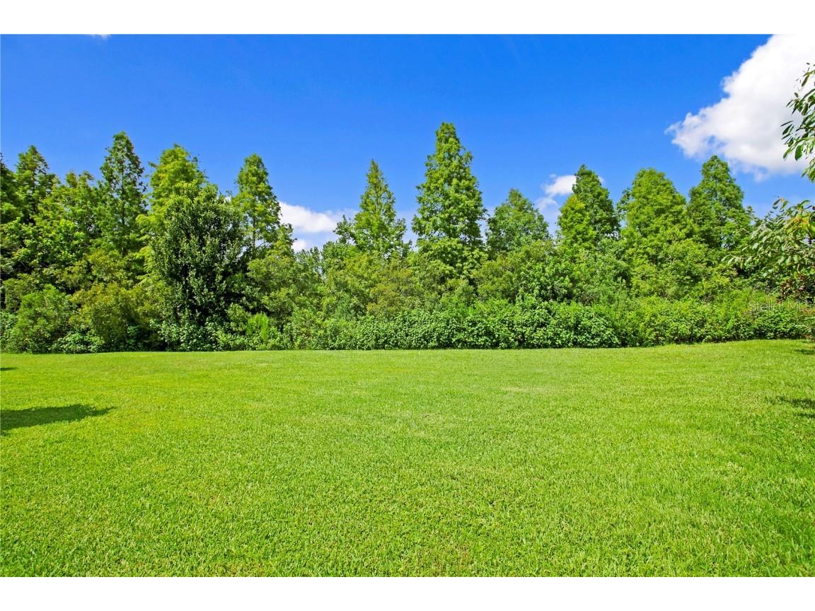 1213 Merry Water Drive Lutz FL 33548 TB8417071 image4