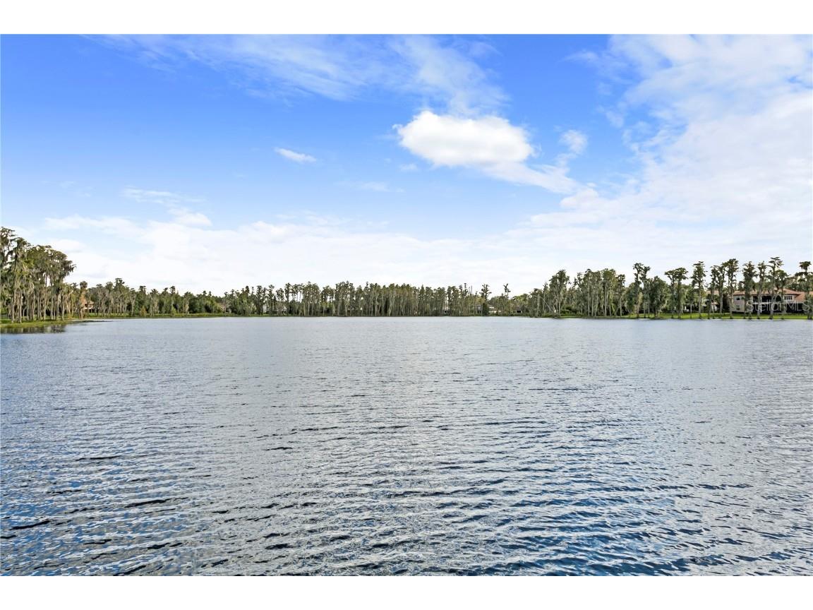 1213 Merry Water Drive Lutz FL 33548 TB8417071 image40