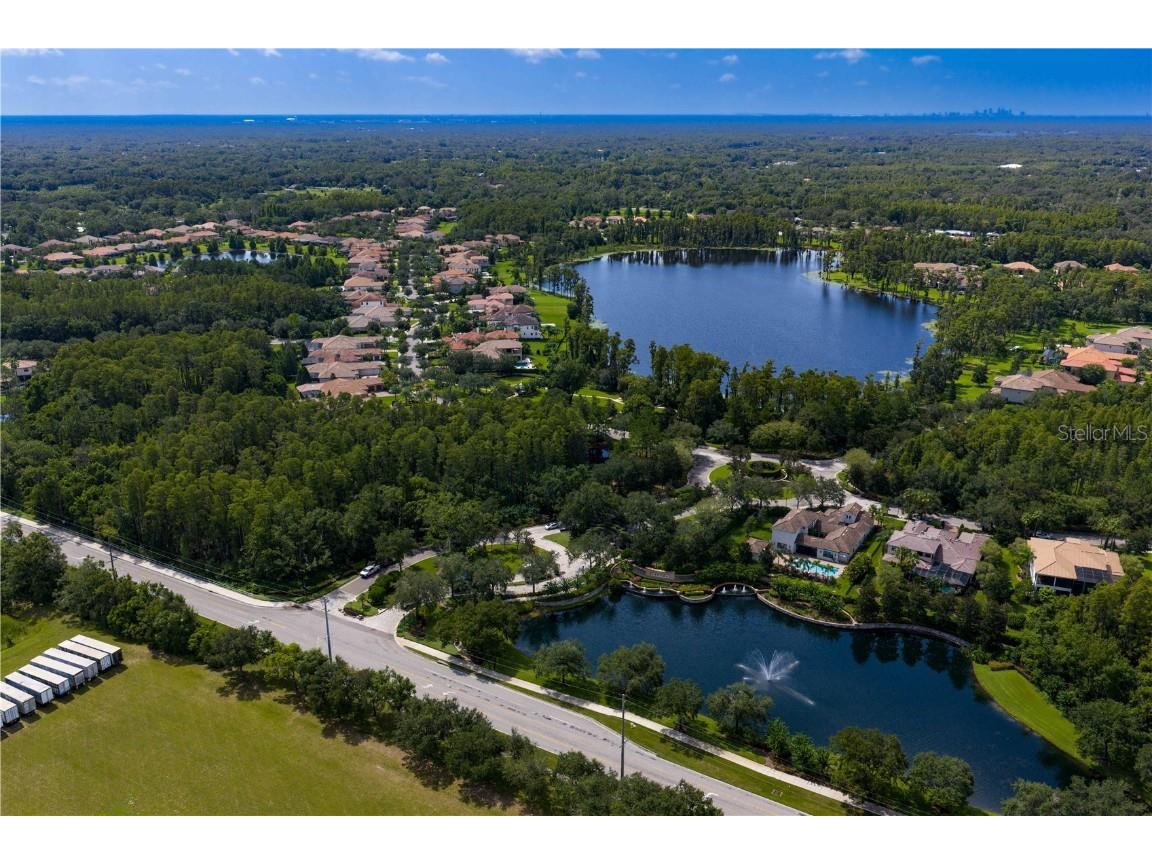 1213 Merry Water Drive Lutz FL 33548 TB8417071 image43