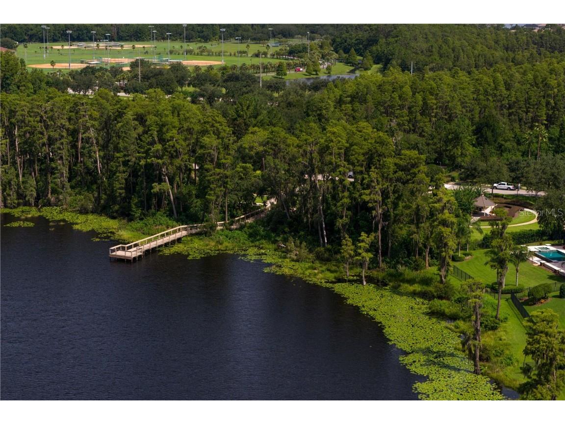 1213 Merry Water Drive Lutz FL 33548 TB8417071 image46